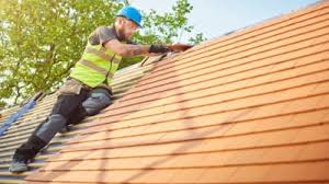 Best Asphalt Shingle Roofing  in Coldwater, MI