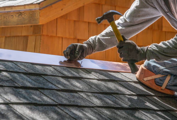 Best Roof Leak Repair  in Coldwater, MI